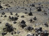 A Field of Cairns